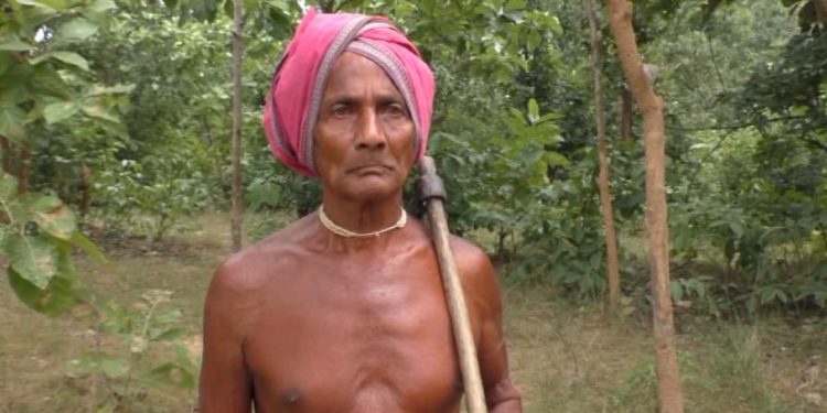 Salute to the octogenarian guardian of forests