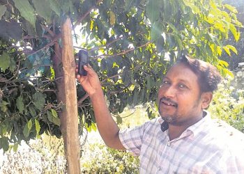 A village in Odisha’s Angul district where 72 families have only one phone to contact friends and relatives