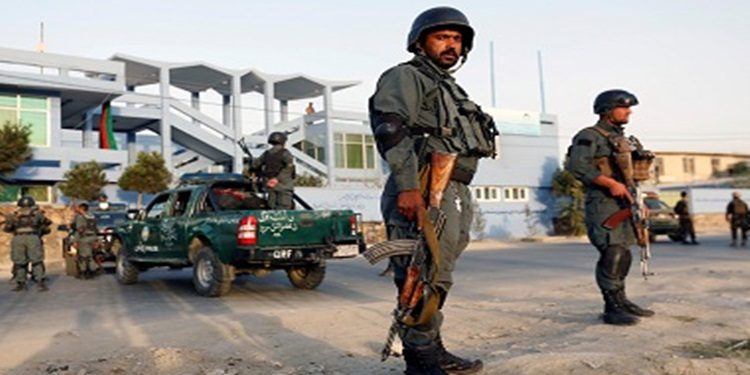 Five Taliban militants killed in Afghanistan