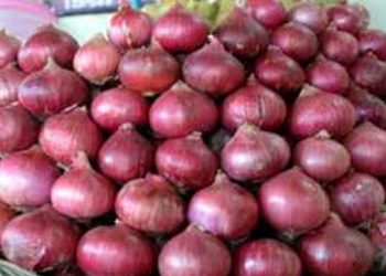 Onion price