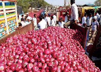 Centre to buy 2 lakh metric tonnes onion at Rs 2,410 per quintal: Fadnavis