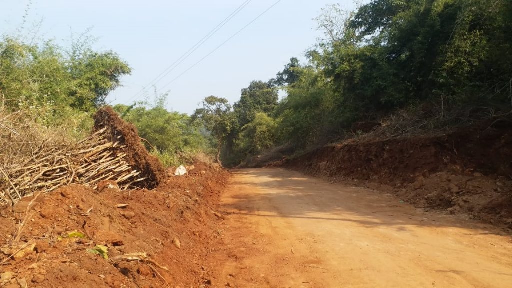 Trees being felled illegally to build road through Satkosia Sanctuary