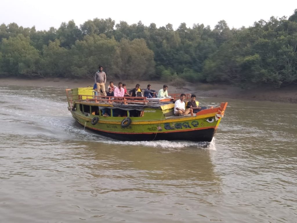 Bhitarkanika, crocodile census