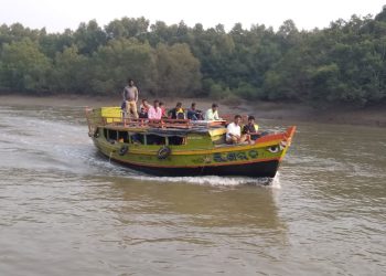 Bhitarkanika, crocodile census