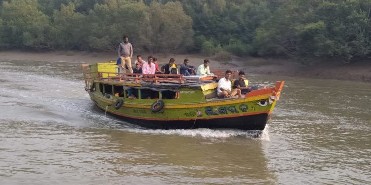 Bhitarkanika, crocodile census