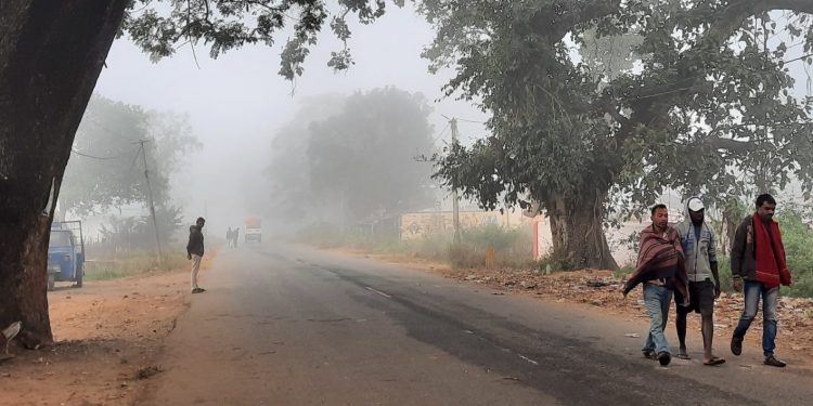 Mercury drops to 9.5° Celsius in Daringbadi