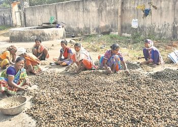 Tribal women find way to success with herbs & roots