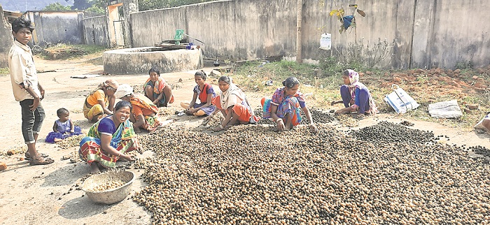 Tribal women find way to success with herbs & roots