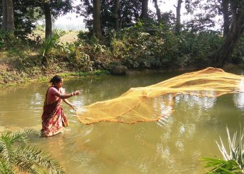 Homemaker scripts success story with aquaponics