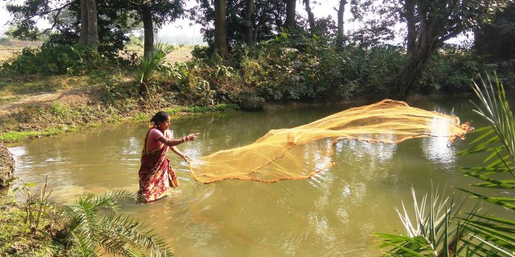 Homemaker scripts success story with aquaponics