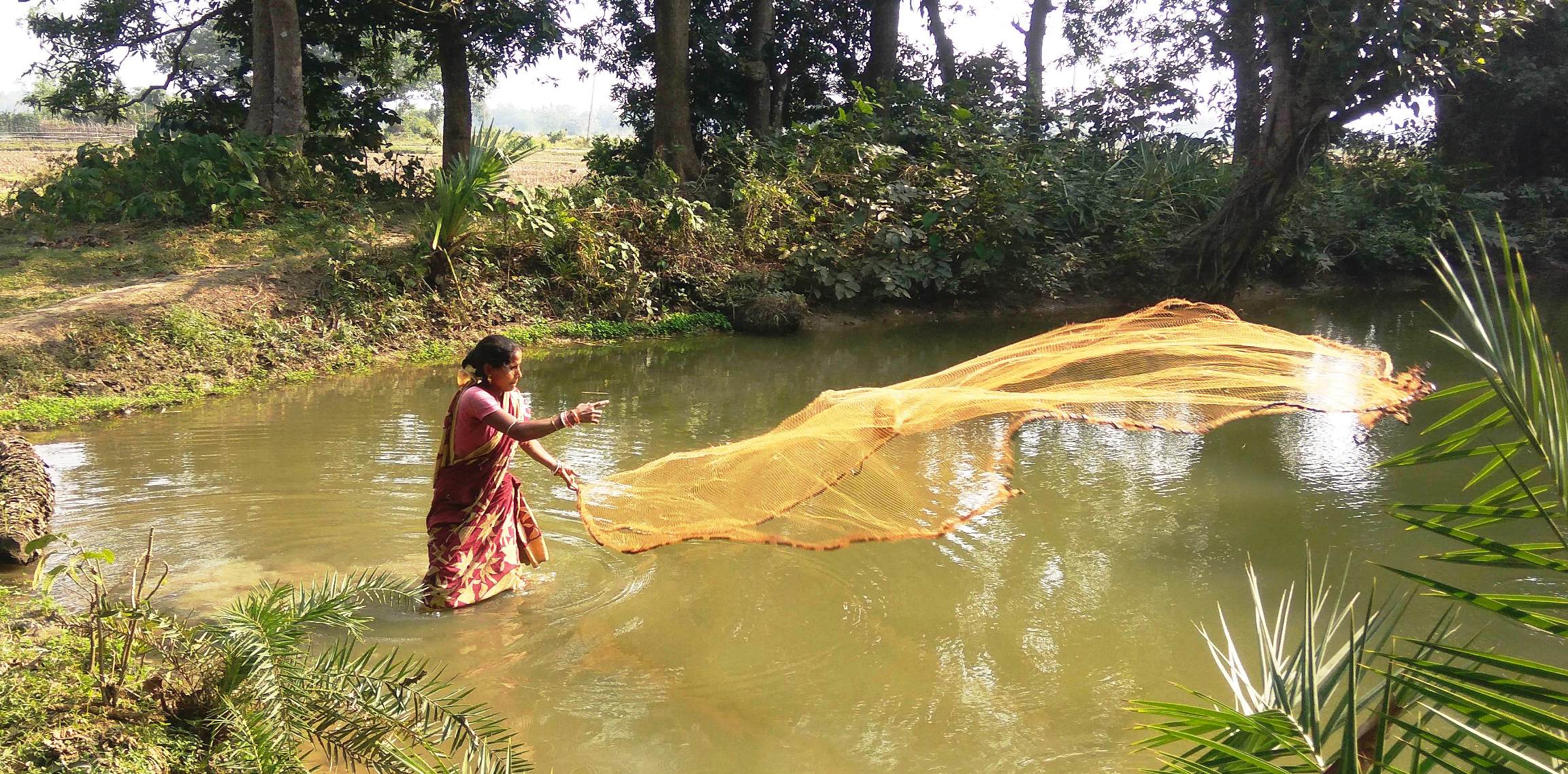 Homemaker scripts success story with aquaponics