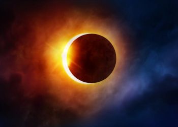 Government declares December 26 holiday for schools colleges due to solar eclipse