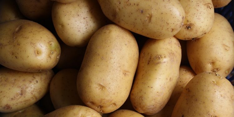 Potato crisis in Odisha
