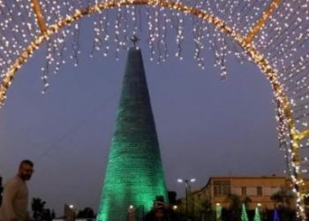 World's weirdest Christmas tree exists here