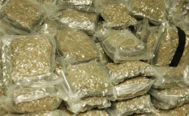 51kg cannabis seized in Ganjam, two arrested