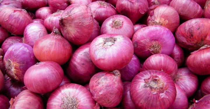 Onion