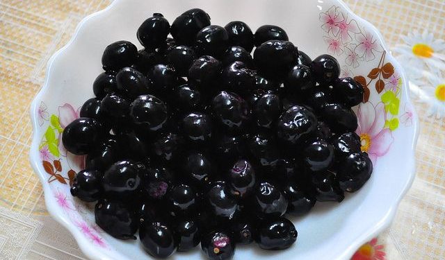 Jamun, Jamun during winter, antioxidants