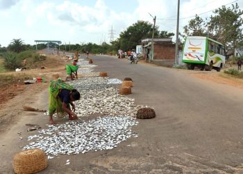 Villagers turn this NH into a fish drying yard