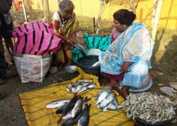 This woman is killing it in Keonjhar fish market