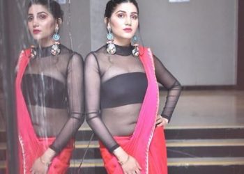Stunning pictures of Ex-Bigg Boss contestant Sapna Chaudhary in Pink Saree go viral