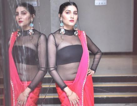 Stunning pictures of Ex-Bigg Boss contestant Sapna Chaudhary in Pink Saree go viral