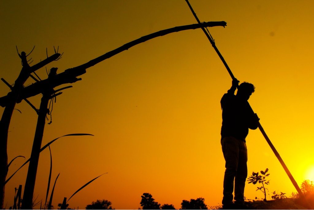 Farmer at work