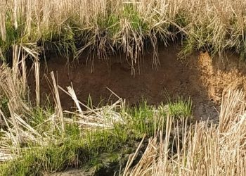 20-foot sinkhole in Angul; locals panic  