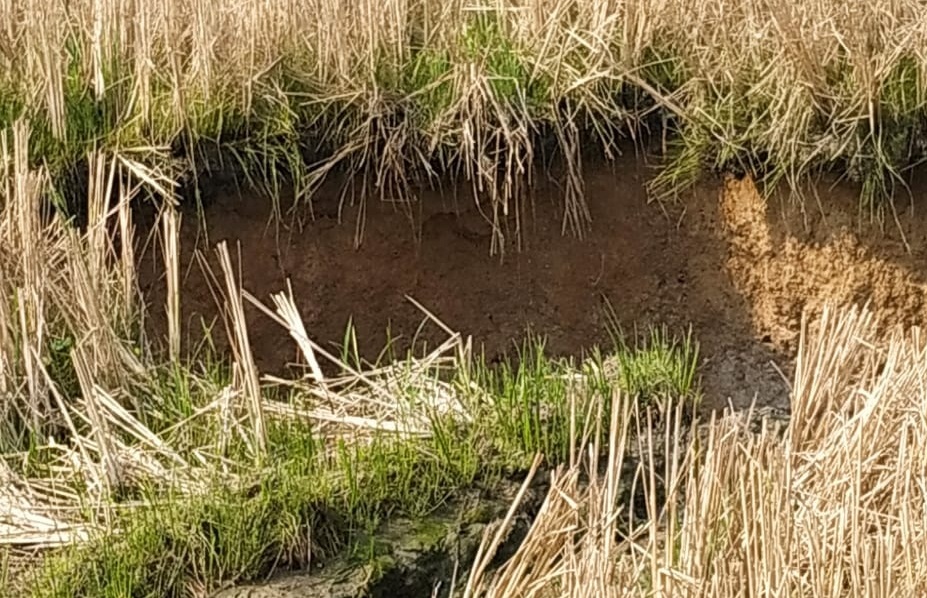 20-foot sinkhole in Angul; locals panic  