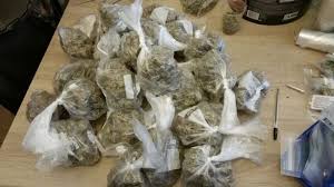 29 kg cannabis seized in Deogarh, five held