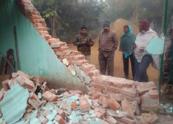 Team formed to prevent elephant herd entering villages close to Telkoi forest 