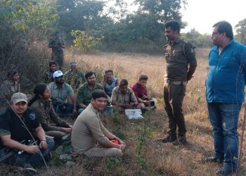 Angul killer tusker finally tranquilised, to be shifted to Kapilash Zoo