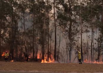 International aid, donations pour in for Aus bushfire crisis
