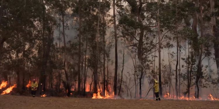 International aid, donations pour in for Aus bushfire crisis