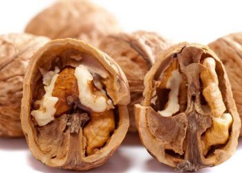 Eat walnuts daily for better gut, heart health