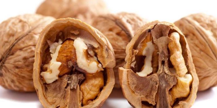 Eat walnuts daily for better gut, heart health