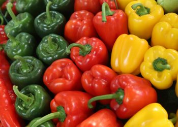 Capsicum can keep obesity at bay and has many other miraculous benefits