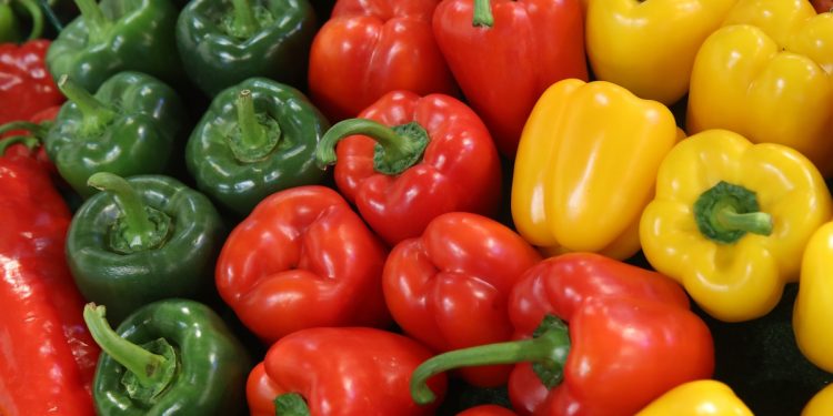 Capsicum can keep obesity at bay and has many other miraculous benefits