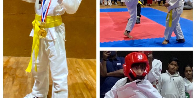 Shah Rukh Khan’s son AbRam wins gold medal in Taekwondo; SRK informs via twitter