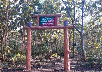 Kapilas Wildlife Sanctuary cries for attention