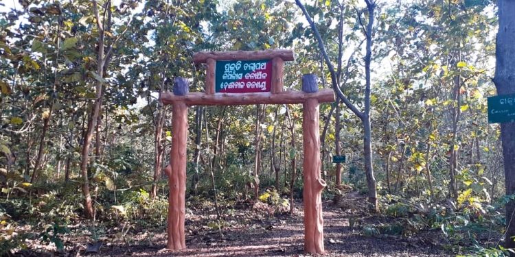 Kapilas Wildlife Sanctuary cries for attention