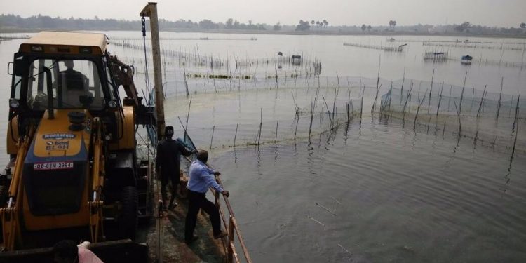 Farmers are fuming over prawn gheries