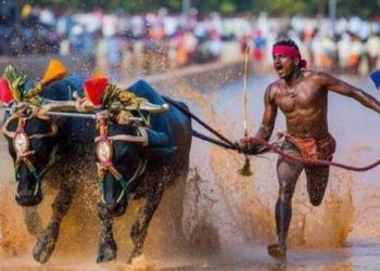 Kambala racer Srinivas Gowda