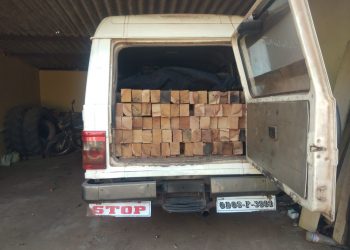 Three timber-laden vehicles seized in Keonjhar