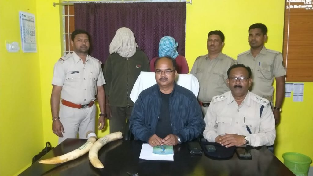 Two smugglers arrested, tusks recovered in Subarnapur