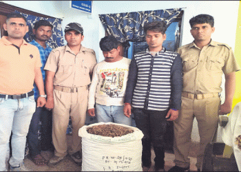 22 kg cannabis seized in Jajpur, two arrested
