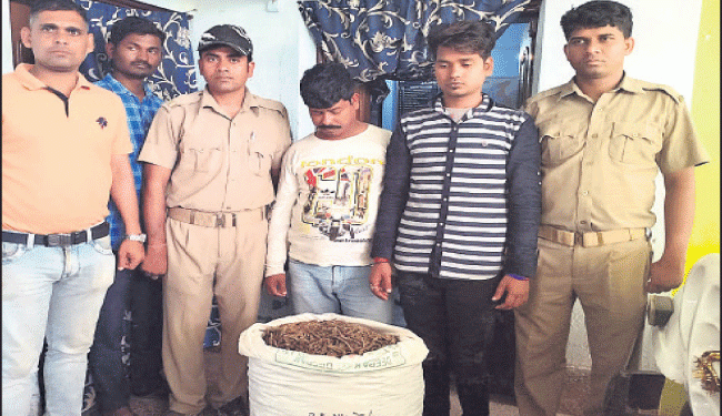 22 kg cannabis seized in Jajpur, two arrested
