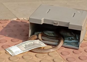 Bizarre! Snake found inside ATM in Jharsuguda