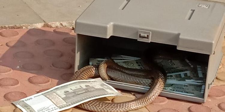 Bizarre! Snake found inside ATM in Jharsuguda