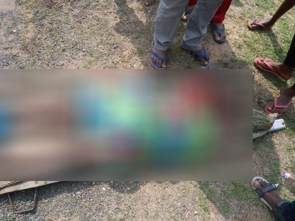 Woman killed in road accident