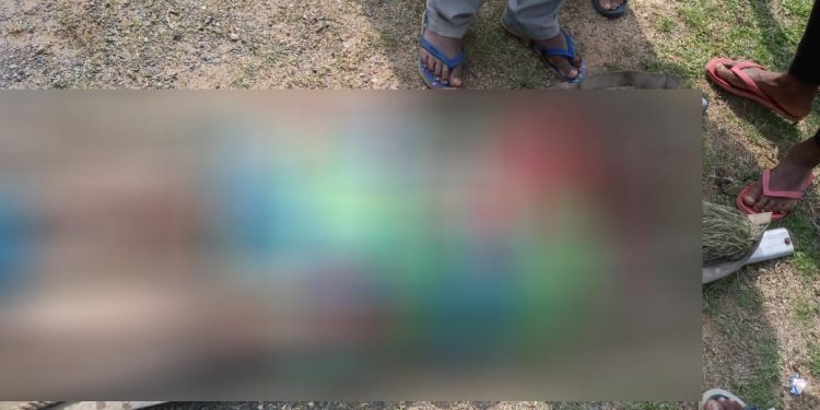 Woman killed in road accident